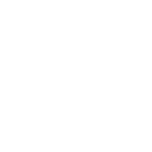 Logo Demo Mark