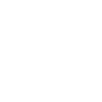 Logo Demo Camera